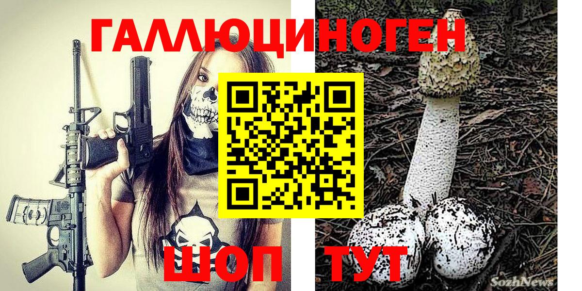 Псилоцибиновые грибы прущие грибы Фролово