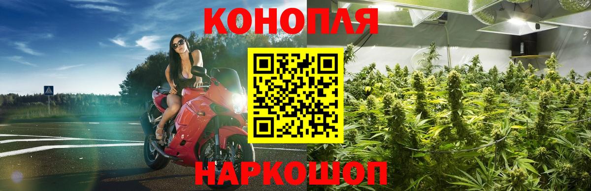 Шишки марихуана планчик  Шишки марихуана LSD WEED  Вход с VPN  Марихуана OG Kush  Фролово 